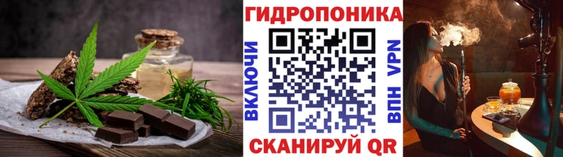 Купить закладки  Новодвинск  Canna-Cookies конопля 