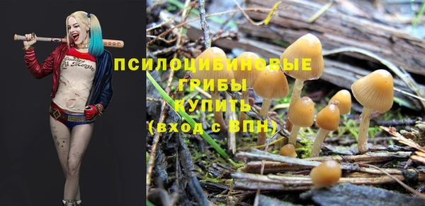 каннабис Каменка