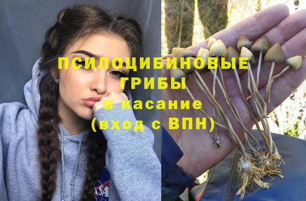 каннабис Каменка